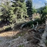 Adana Saimbeyli Trafik Kazası 2 Ölü Mehmet Akif Özgüner Cumali Duru